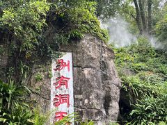 -深圳仙湖植物园