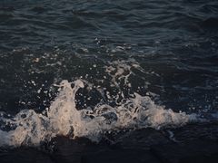 -海堤纪念公园