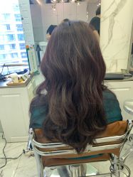 -潘多拉Hairsalon