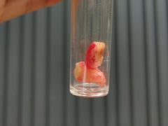 -泰康拜博口腔(凯迪大厦店)