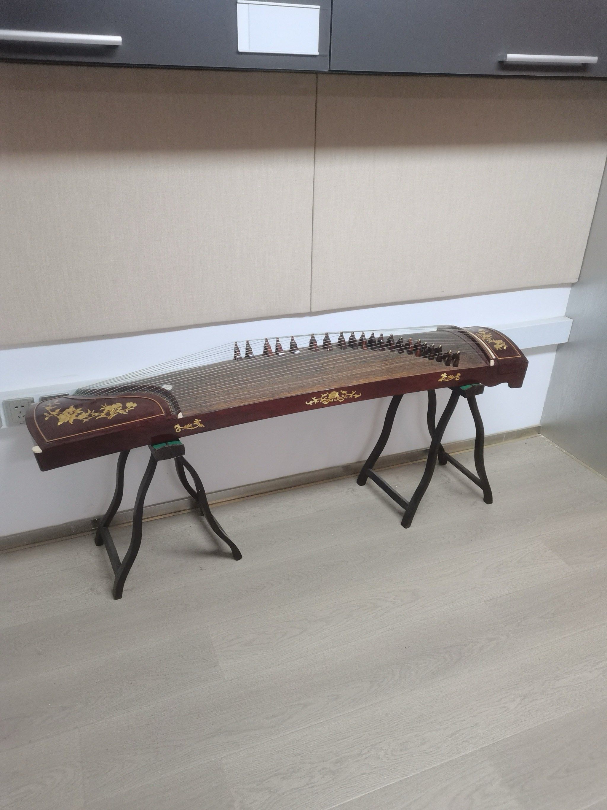 古筝小仙子的成长记🎶