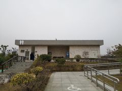 -芒洲湿地公园