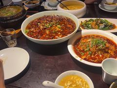 -陈麻婆豆腐总店
