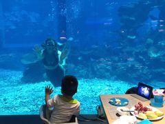 -海棠湾洲际-涛·海底餐厅·美人鱼·自助餐·海底隧道