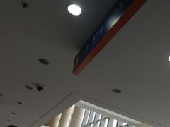 -上海市东方医院(总院)