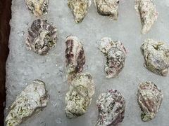 -蚝老板海鲜烧烤大排档(码头店)