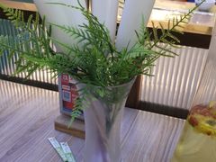 -探窝·竹笙椰子鸡(杨箕店)