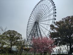 -蠡湖大桥公园
