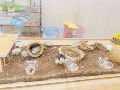 -东方之珠洗浴休闲广场(南开店)