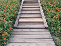 -洨河生态公园