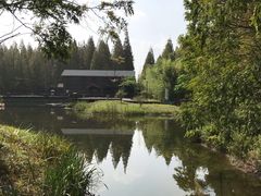 -黄海国家森林公园