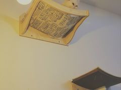 -豆老板的猫咖啡(碑林博物馆店)