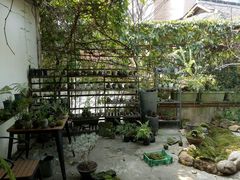 -植觉