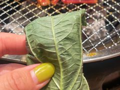 -四斤烤肉(东戴河孟家店)