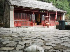 -北京上方山国家森林公园