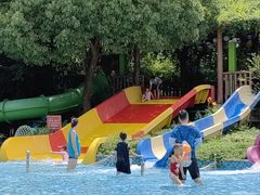 -苏州乐园森林水世界