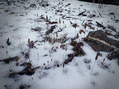 -硗碛藏寨·神木垒景区