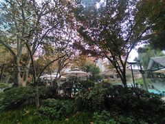 -静安公园(静安寺街道)