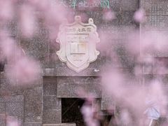 -桃花堤公园