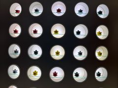 -马白开来特色羊排揪片子  (总店)