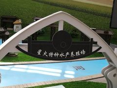 -上海都市菜园