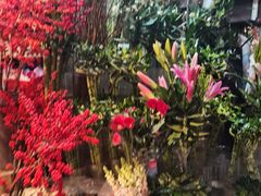 -朝来春花卉市场