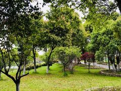 -上海多利农业发展有限公司