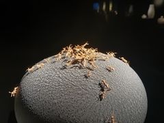 -深圳珠宝博物馆
