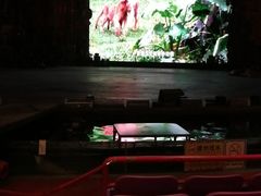 -广州长隆国际大马戏