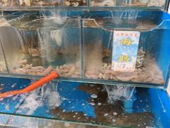 -小郭私房菜·海肠捞饭店(学士街店)