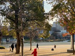 -大阪儿童乐园