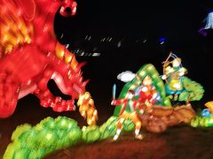 -大塘金香草谷