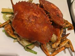 -新雅粤菜馆(南京东路店)