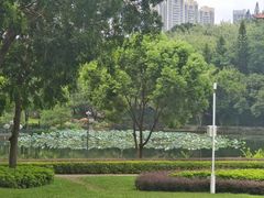 -深圳龙潭公园