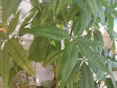 -喜湘宴·精致湖南菜(和平西桥店)