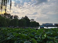 -济南大明湖景区