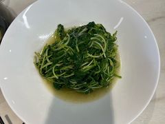 -丁老爷子苏香圆