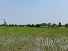 -嘉北郊野公园