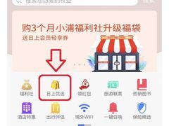 -日上免税店