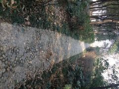 -蜀冈西峰生态公园