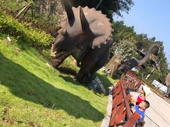 -梦幻奥陶纪景区