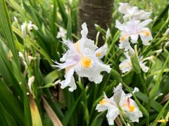 -福建鲤鱼洲酒店