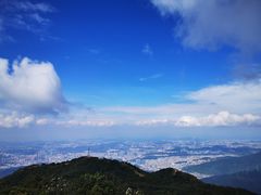 -梧桐山风景名胜区