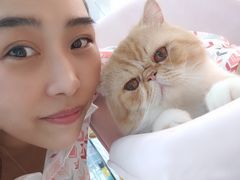 -糯米喵星人·撸猫猫舍咖啡馆(西市场嘉华店)