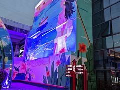 -三亚红色娘子军演艺公园景区