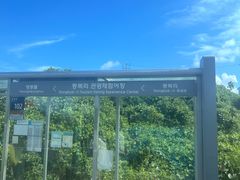 -城山辣炒黑猪肉