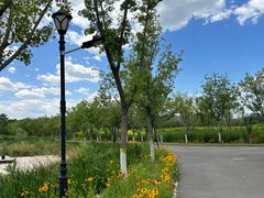 -永定河休闲森林公园