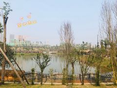 -枫香湖儿童公园