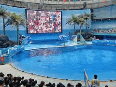 -海合安成都极地海洋公园