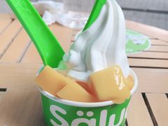 -Salud撒露欧洲冻酸奶(798艺术区店)